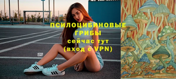 ECSTASY Алексин