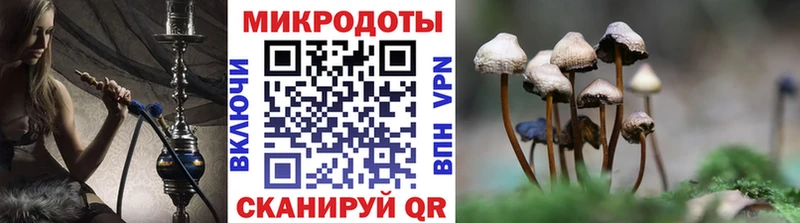 hydra как зайти  Алушта  Галлюциногенные грибы Psilocybe 